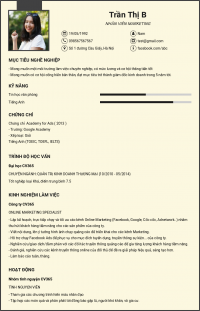 Ribbon Resume 7
